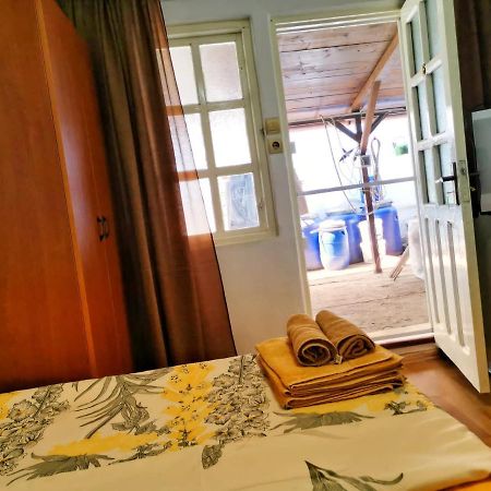 Hotel Casa Ioana à Costinesti Extérieur photo